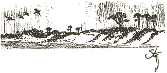 Artwork from 'Views from a Front Porch.'